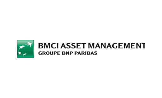 bmci_management_logo
